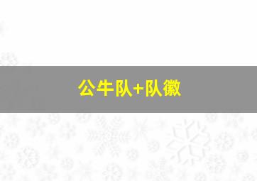 公牛队 队徽